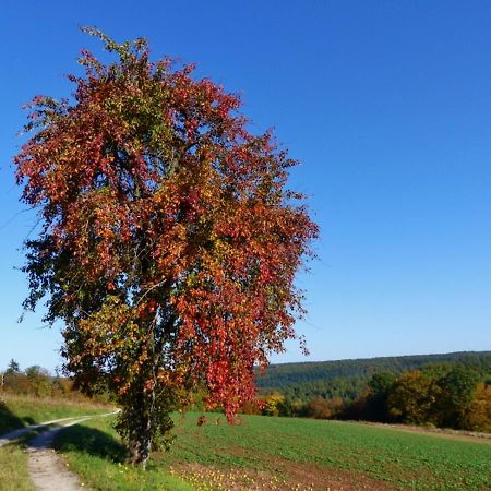Blumenschein-Ferienwohnung Unne Kirchzell 外观 照片