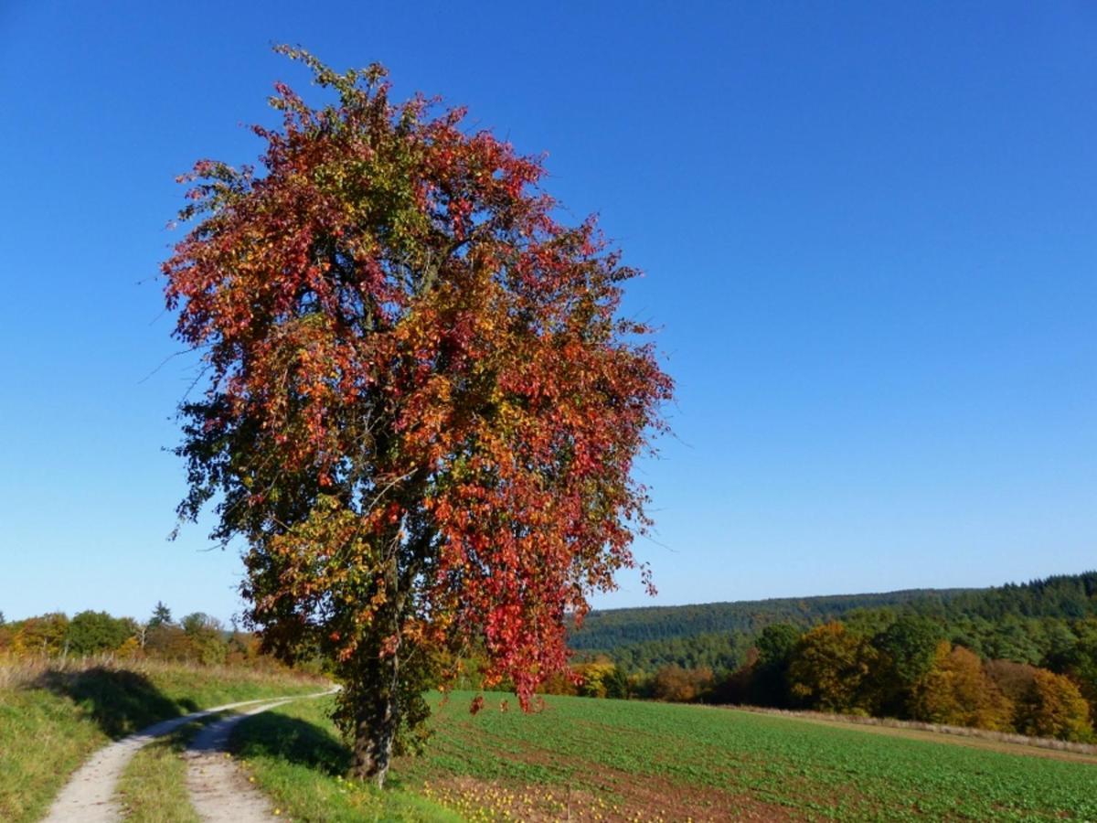 Blumenschein-Ferienwohnung Unne Kirchzell 外观 照片