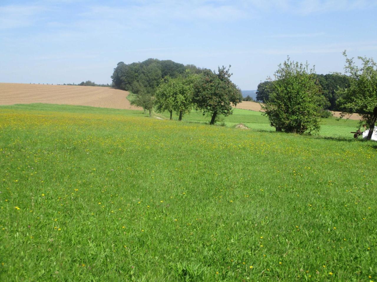Blumenschein-Ferienwohnung Unne Kirchzell 外观 照片